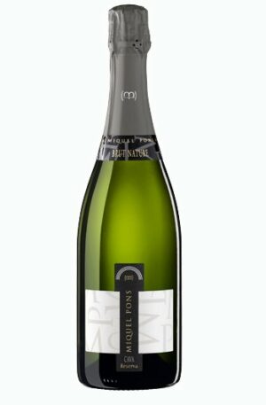 Miquel Pons Brut Nature Reserva cata