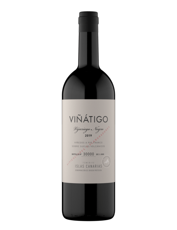 viñatigo Vijariego negro bodegabierta