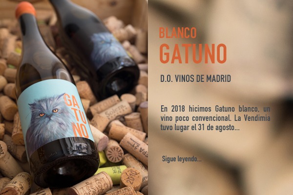 vino gatuno blanco elaborado por Bodegabierta en Madrid