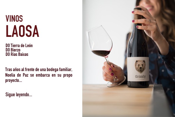 vino de León Grizzli distribución Bodegabierta