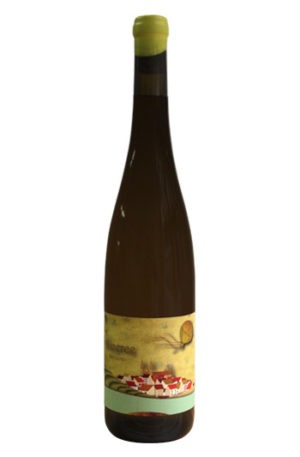 Alicerce senlleiro vino de betanzos branco lexitimo