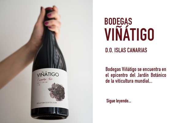 Viñátigo es una bodega de vinos de Tenerife