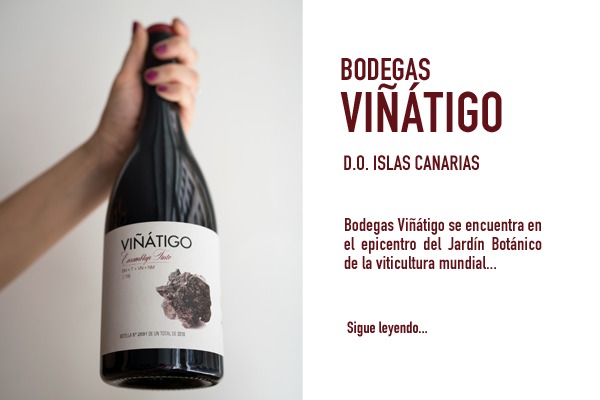 Viñátigo es una bodega de vinos de Tenerife