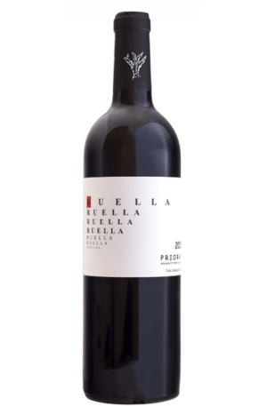 Ruella tinto