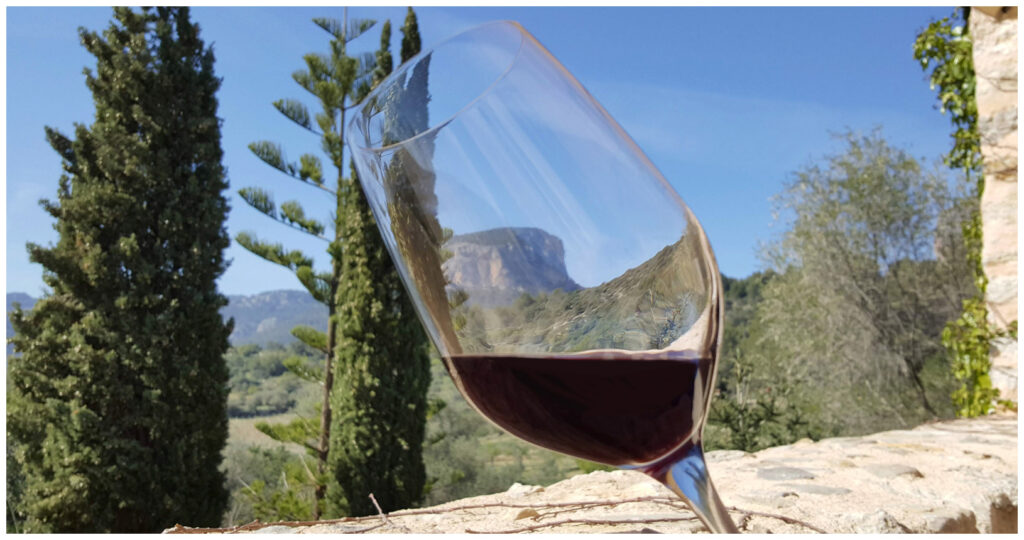 Vino tinto ecológico Son Grau