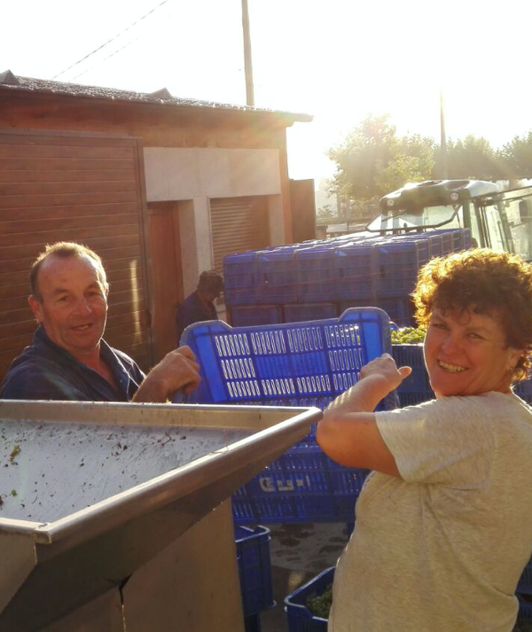 Vinos de pequeños productores