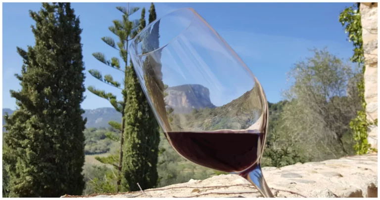 Vinos ecológicos