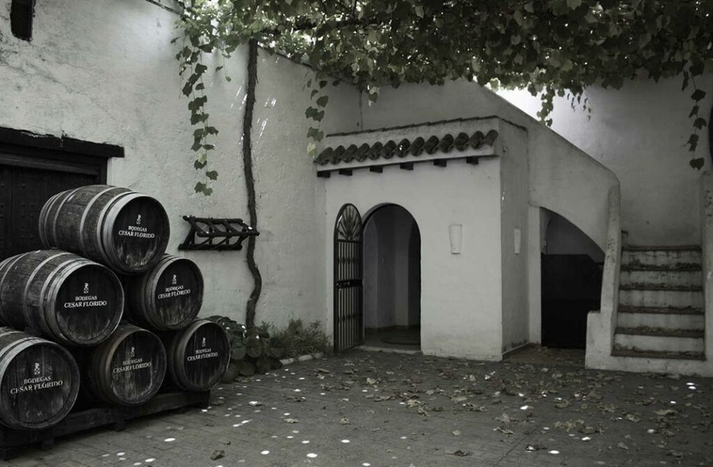 Bodega César Florido